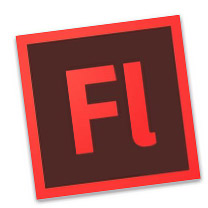 Learn How to work with interfaces in our Adobe Flash Training Sessions